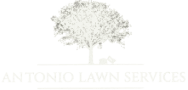 Antonio Lawn Mowing Services